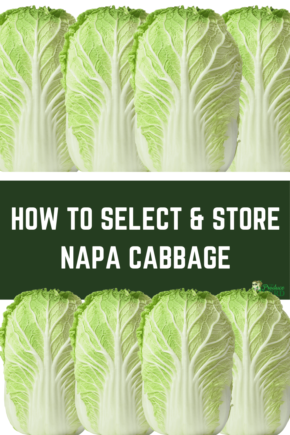 You are currently viewing How to Select & Store Napa Cabbage