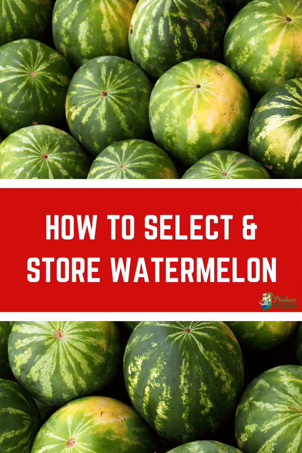 You are currently viewing How to Select & Store Watermelons