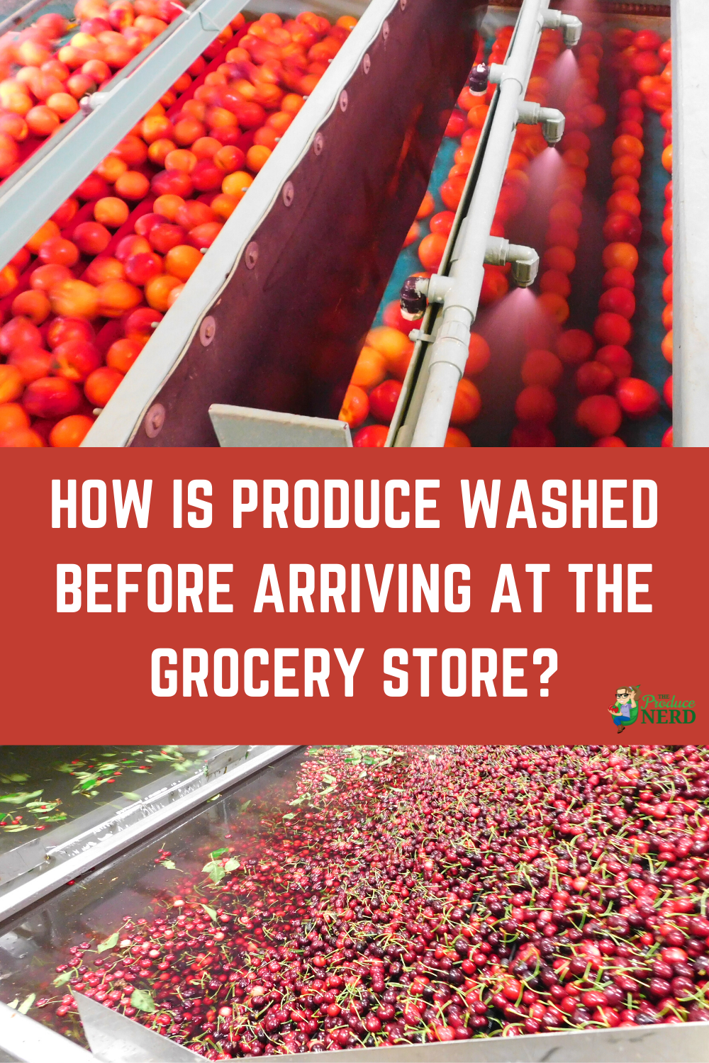 You are currently viewing How Is Your Produce Being “Washed”?