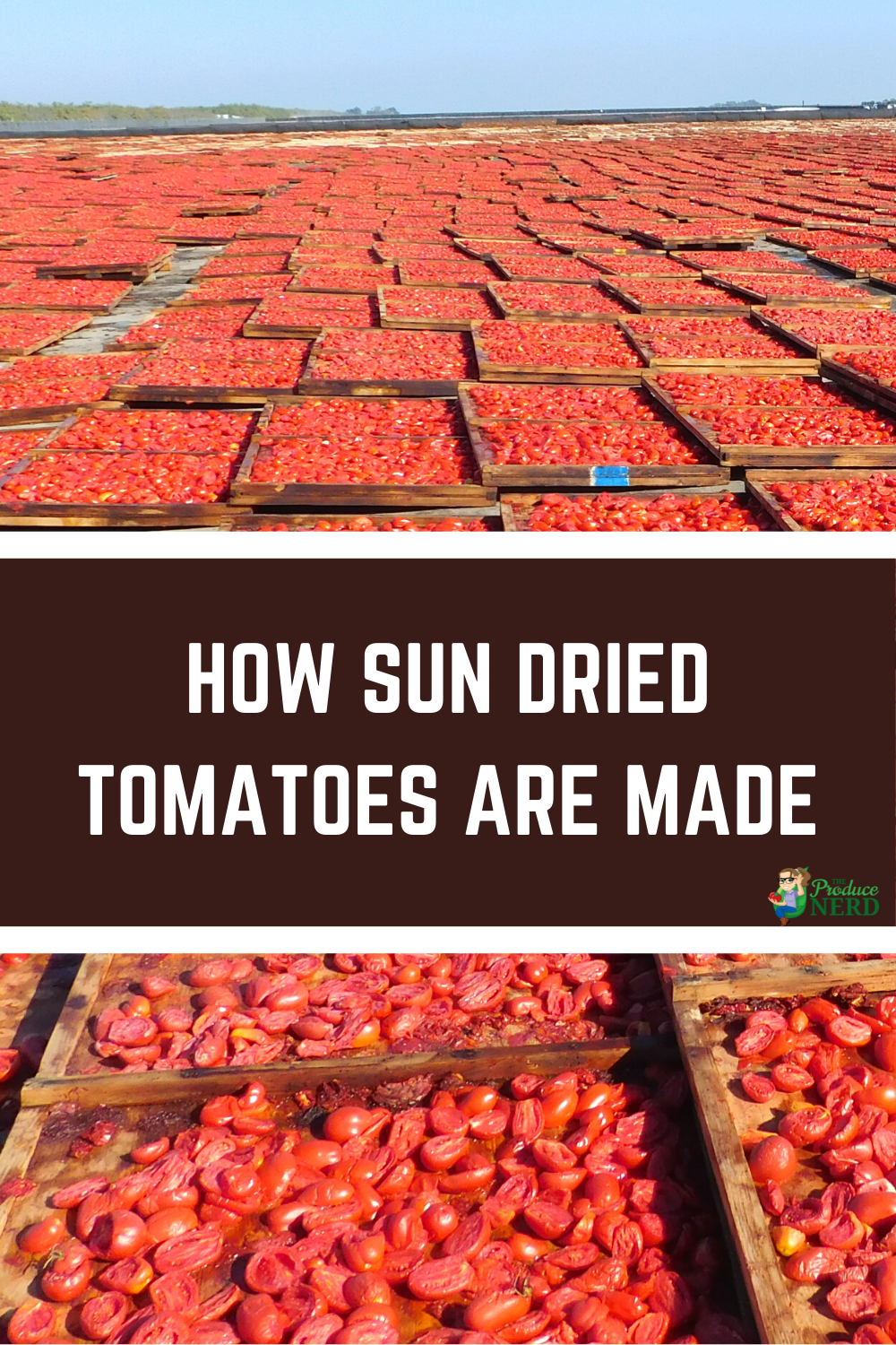 You are currently viewing How Sun Dried Tomatoes are Made