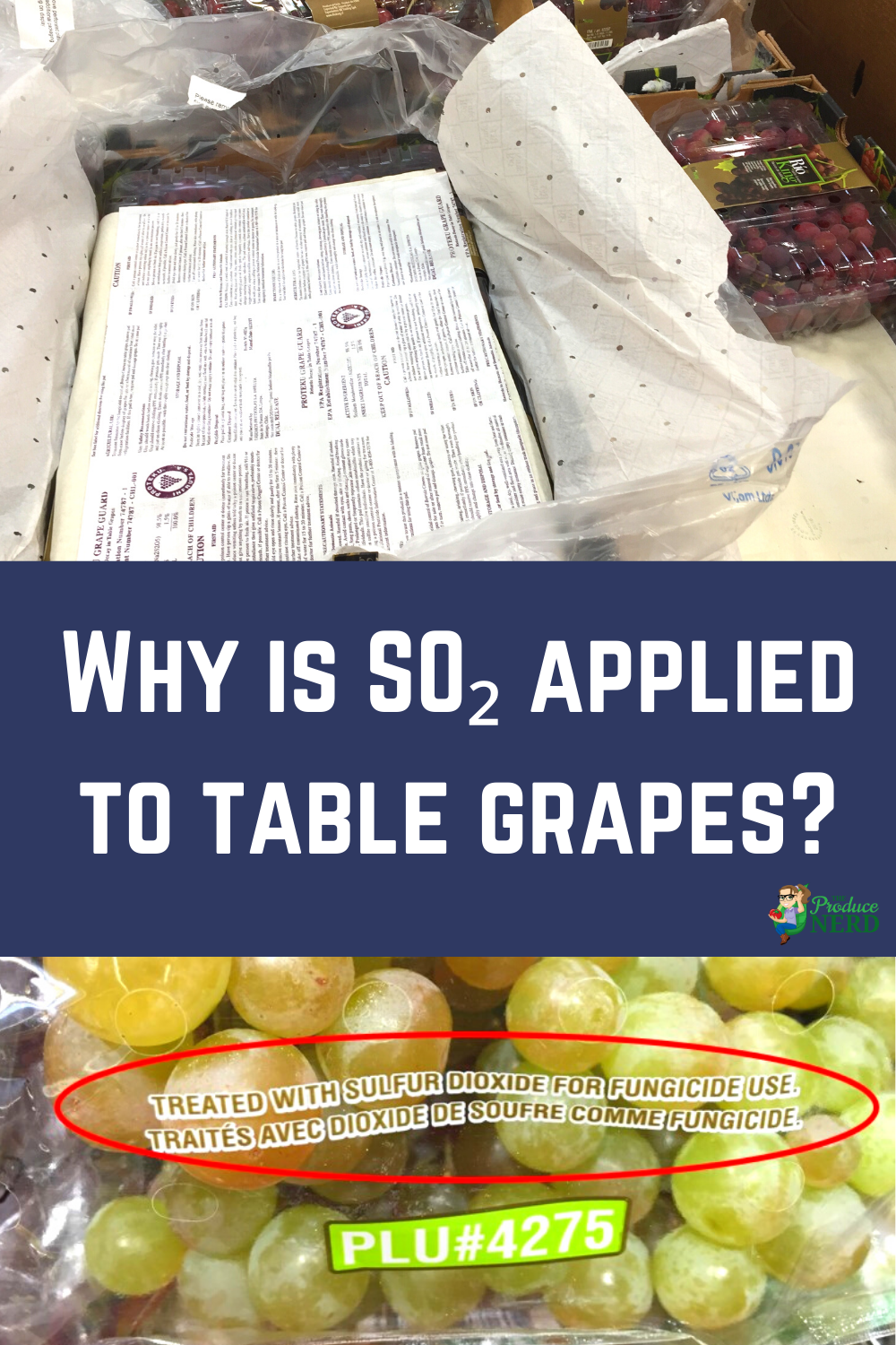 You are currently viewing Why is Sulfur Dioxide Applied to Grapes?