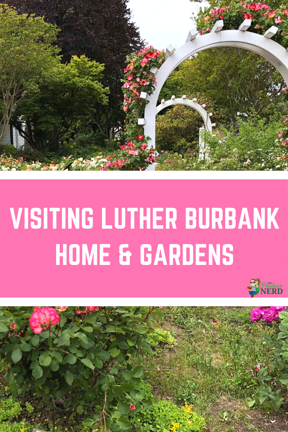 You are currently viewing Visiting the Luther Burbank Home and Gardens