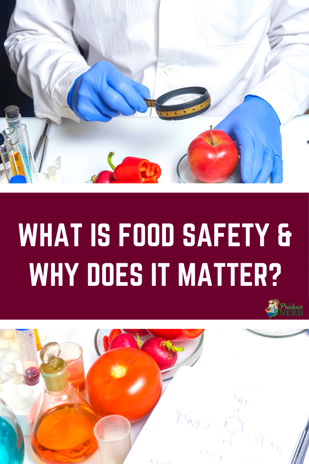 You are currently viewing What is Food Safety & Why is it Important?