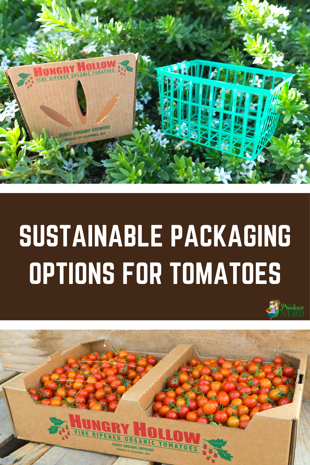 You are currently viewing How a 30-Year-Old Organic Farm Embraced More Sustainable Packaging Materials